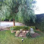 Vakantiehuis Casa Zagara